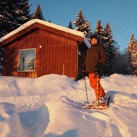Cabin With Great View Close To Town And Ski Area Ліллегаммер Екстер'єр фото